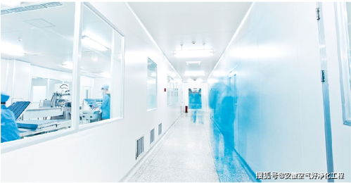 空氣好凈化工程詳解合肥食品無菌潔凈廠房裝修的車間布置設(shè)計(jì)